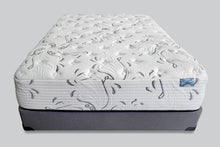 Load image into Gallery viewer, Siena-firm