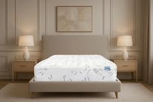 Load image into Gallery viewer, virgo-plush-life-style-image