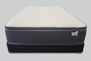 Daytona Euro Top Mattress